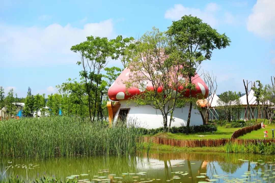 房车露营旅行推荐,自驾出游露营野炊房车营地