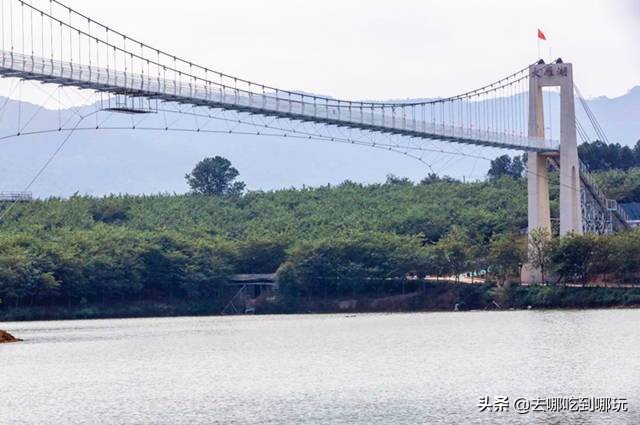 58抢花都志惠农场+玻璃桥套票惊险横跨268米更有环球飞车项目