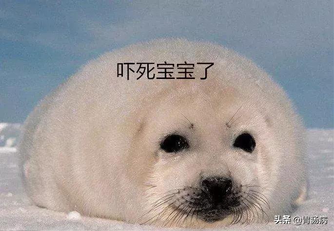 肚子痛到底是哪里痛,肚子痛应该是哪痛一张图告诉你