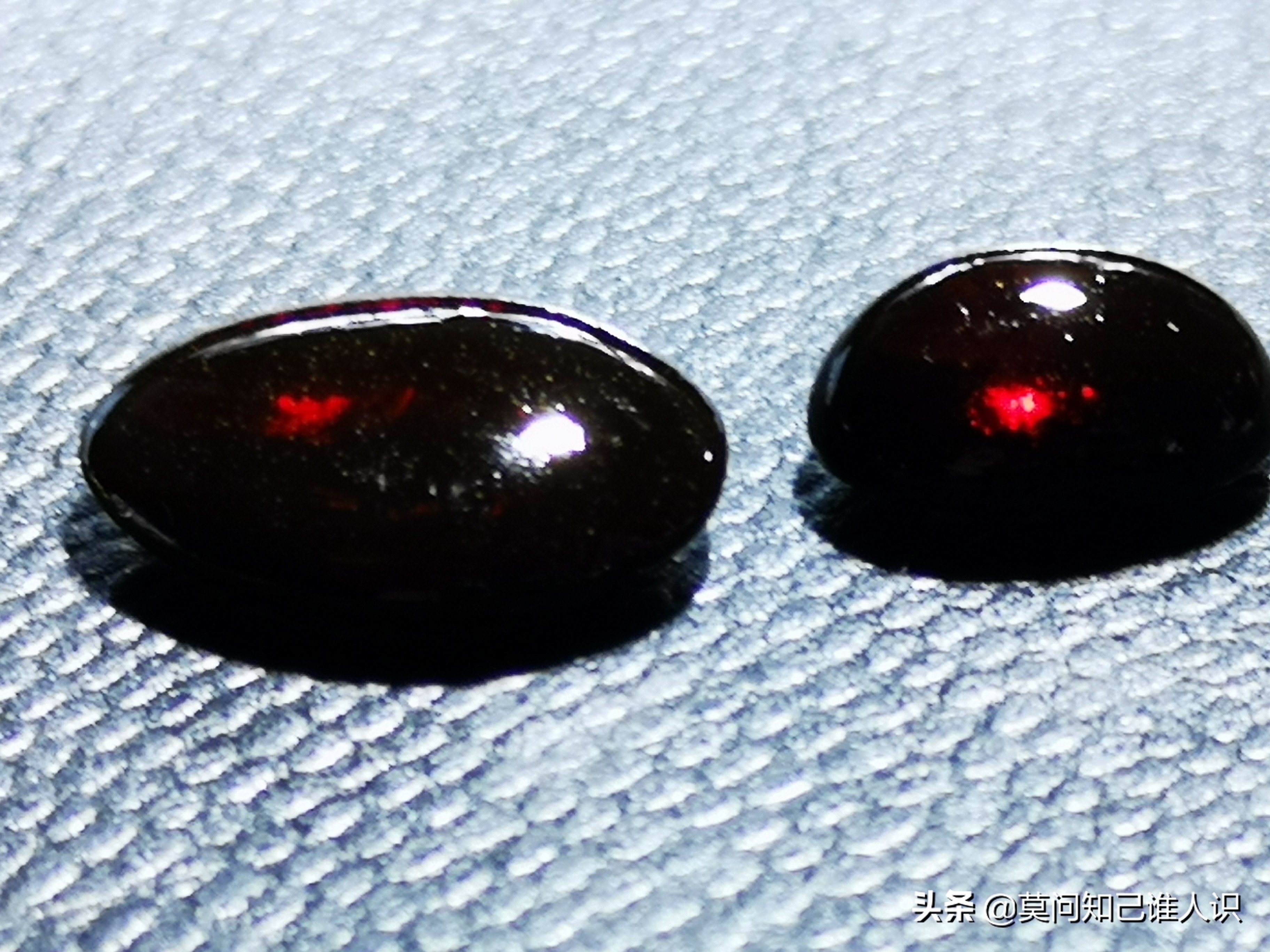 红*诱色**惑之血珀篇