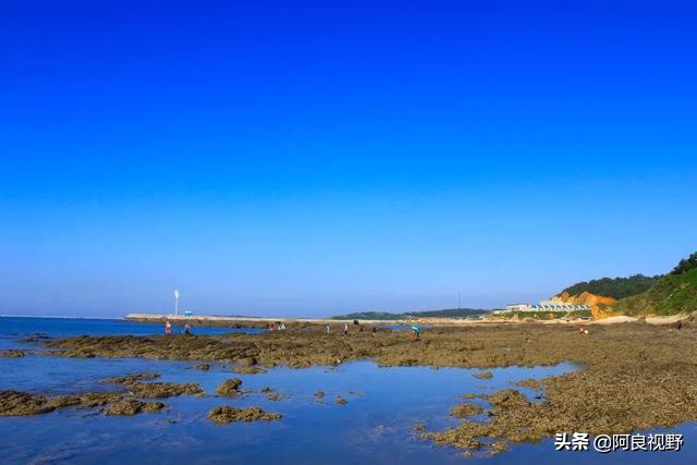庄河黑岛名人,庄河黑岛沈屯
