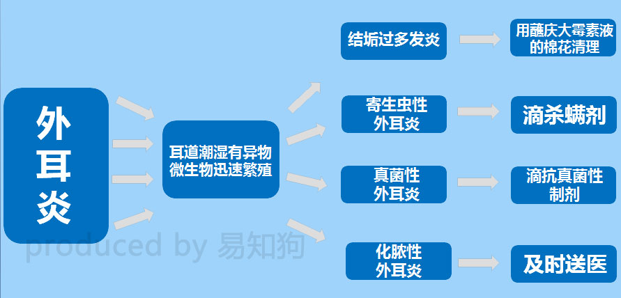 居家狗狗生活训练,日常护理狗狗皮肤不瘙痒