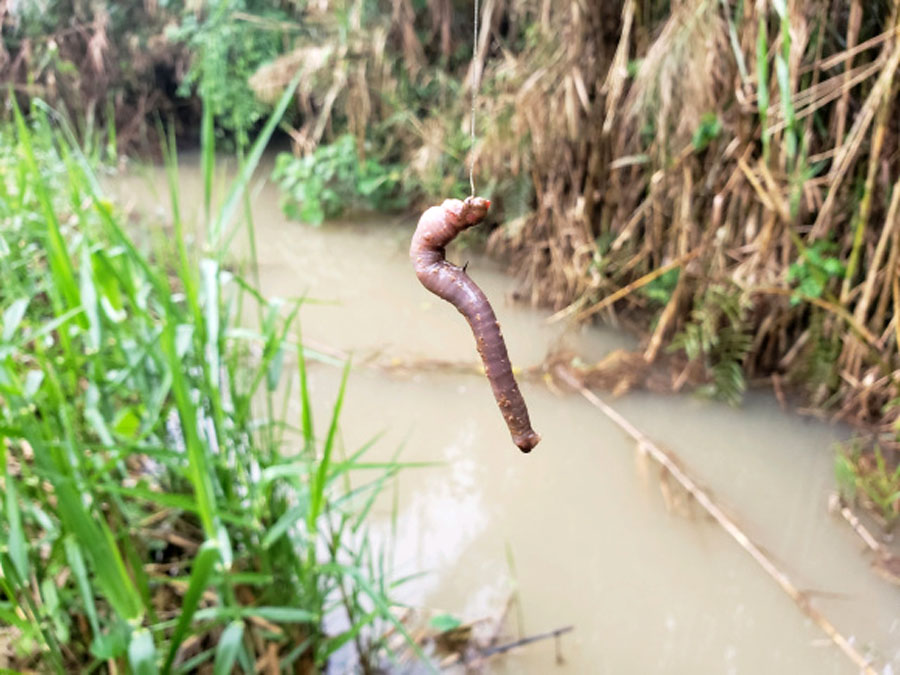 夜钓小河七星漂,夜钓小河沟用路亚