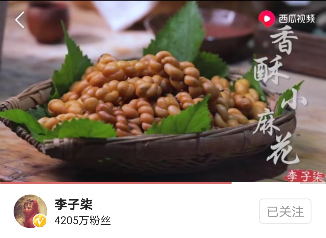 李子柒麦子的一生的播放量,李子柒麦子的生长过程