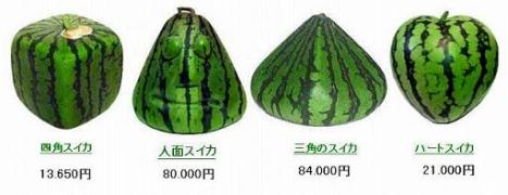 日本人都不曾在意的细节，11处日本的特有现象