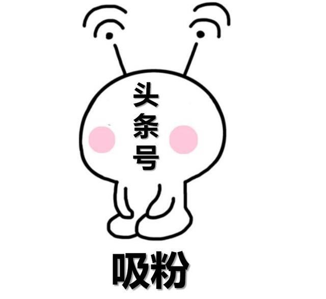 你的粉丝都过一千了吗,你的粉丝有多少个