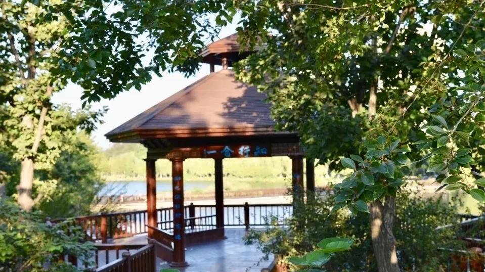 大连外国语大学2024年招生简章,大连外国语大学2021年研究生调剂