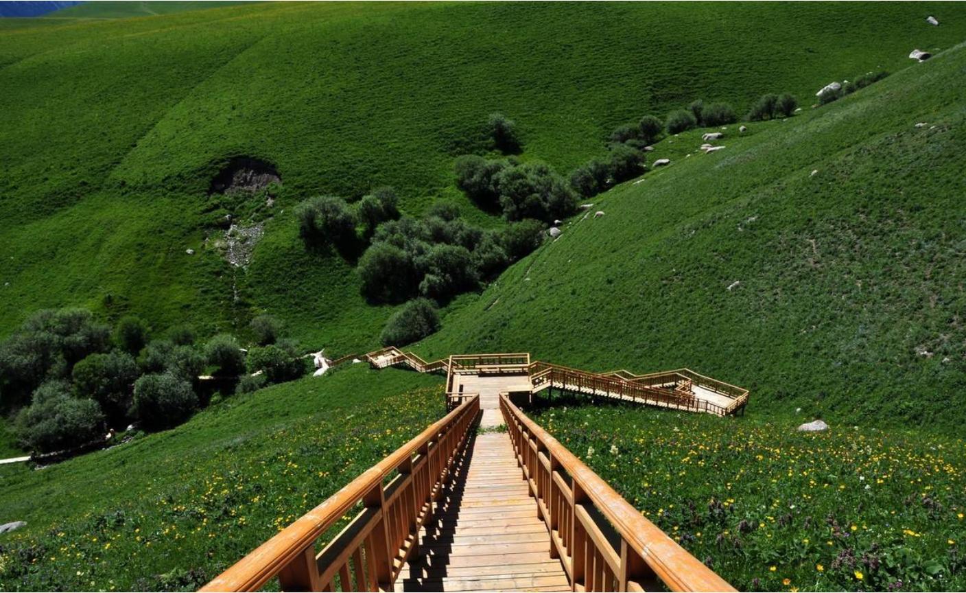 和静县乌拉斯台天鹅,新疆天鹅湖畔美丽风光