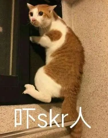 纳尼实力到底怎么样,纳尼所有皮肤