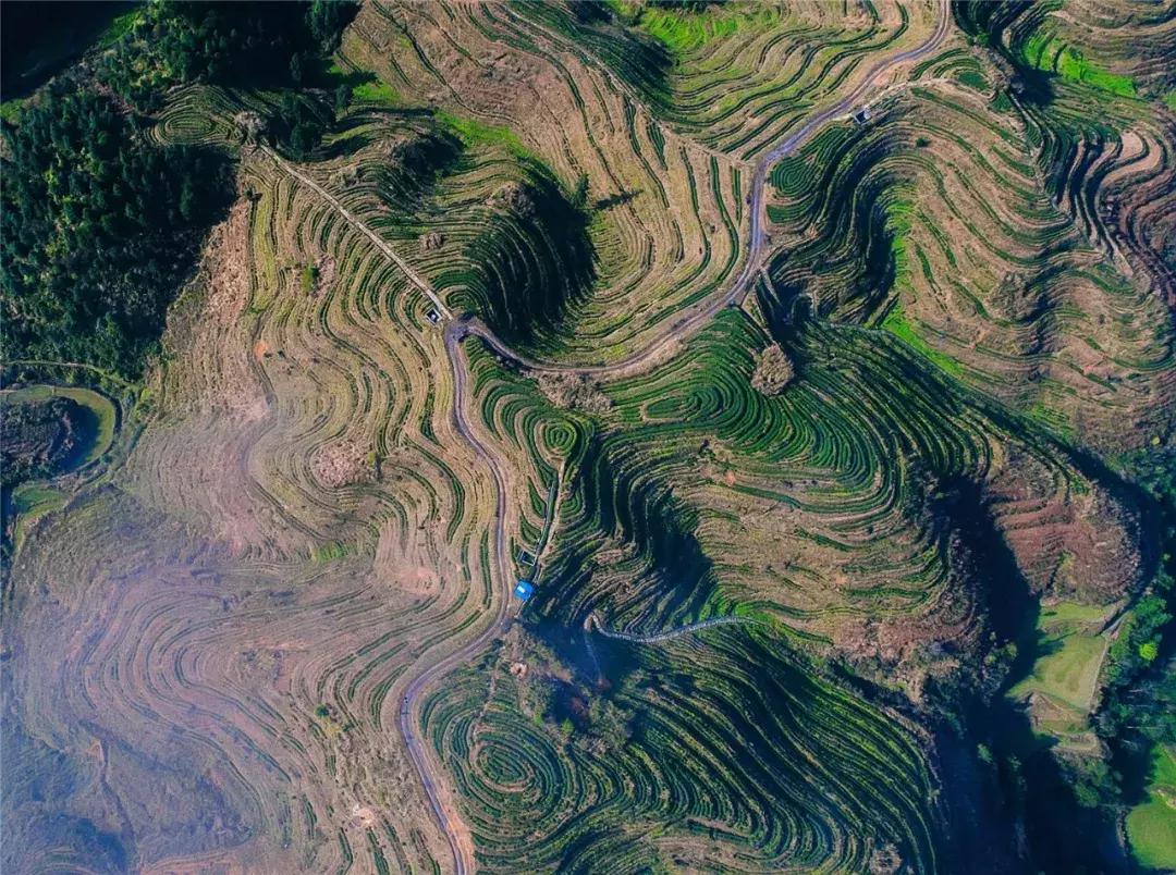 下一站联合电子,下一站同行