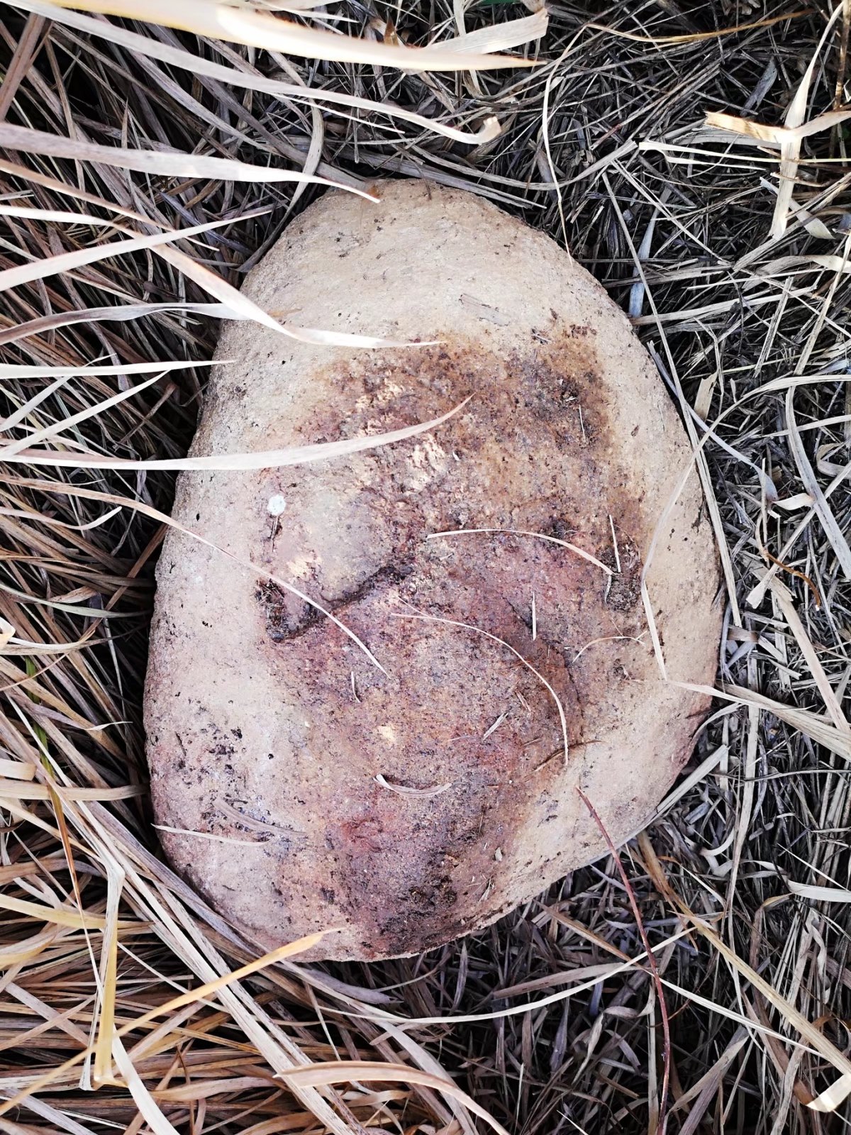 摩托周边旮旯游——探访蚌埠李楼鲁山寺遗址（上）