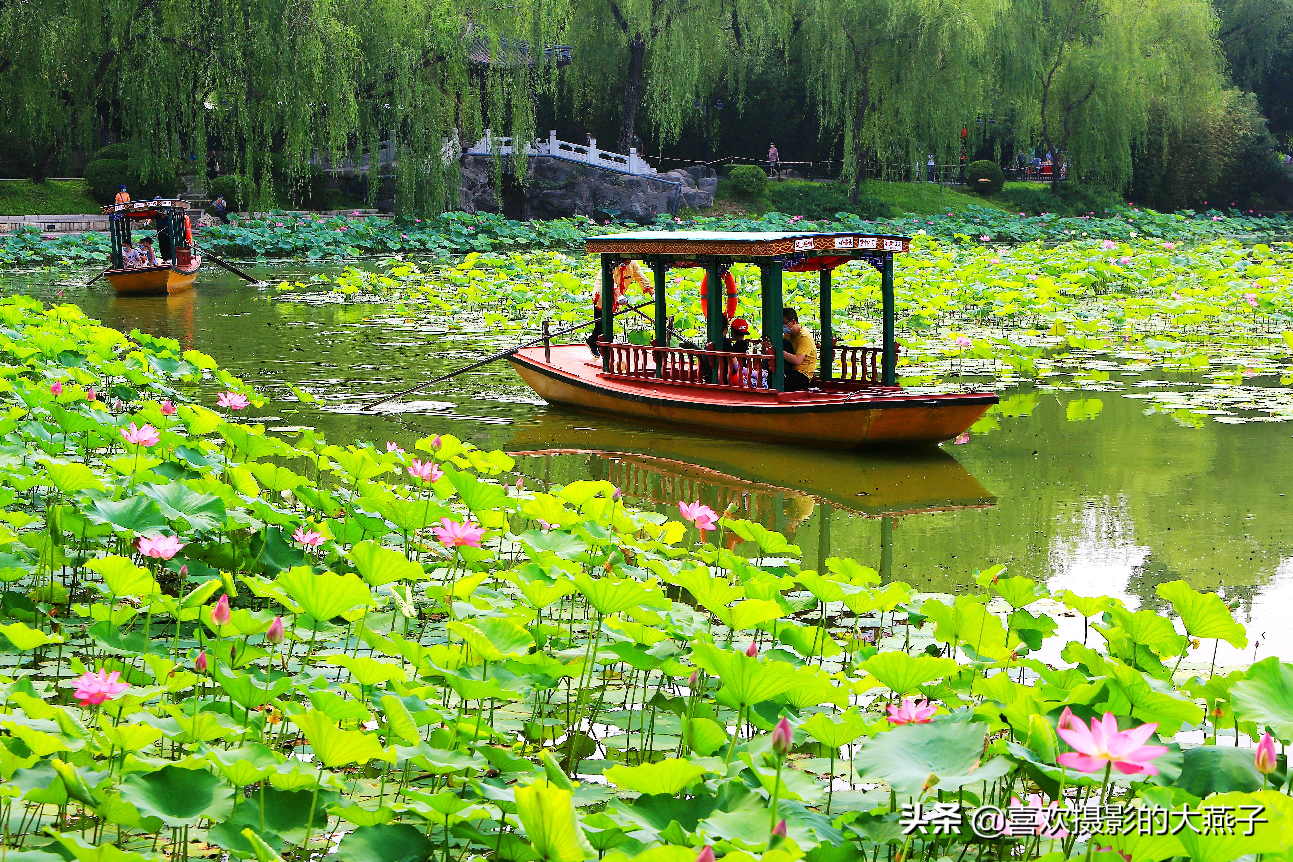 紫竹院京城景区,京城皇家御河紫竹院
