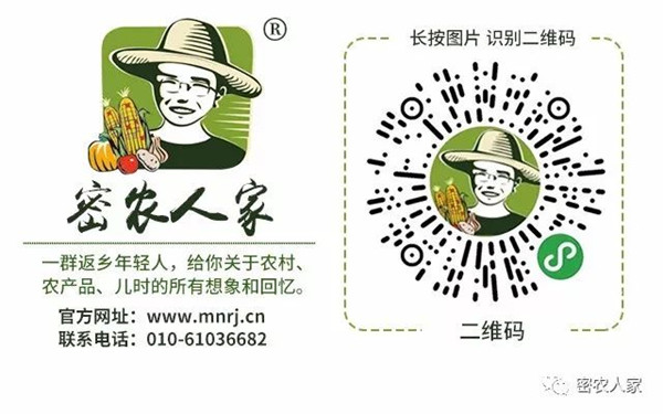 「密云农业」终于等到你,还好没放弃!黄元帅苹果上架开售了