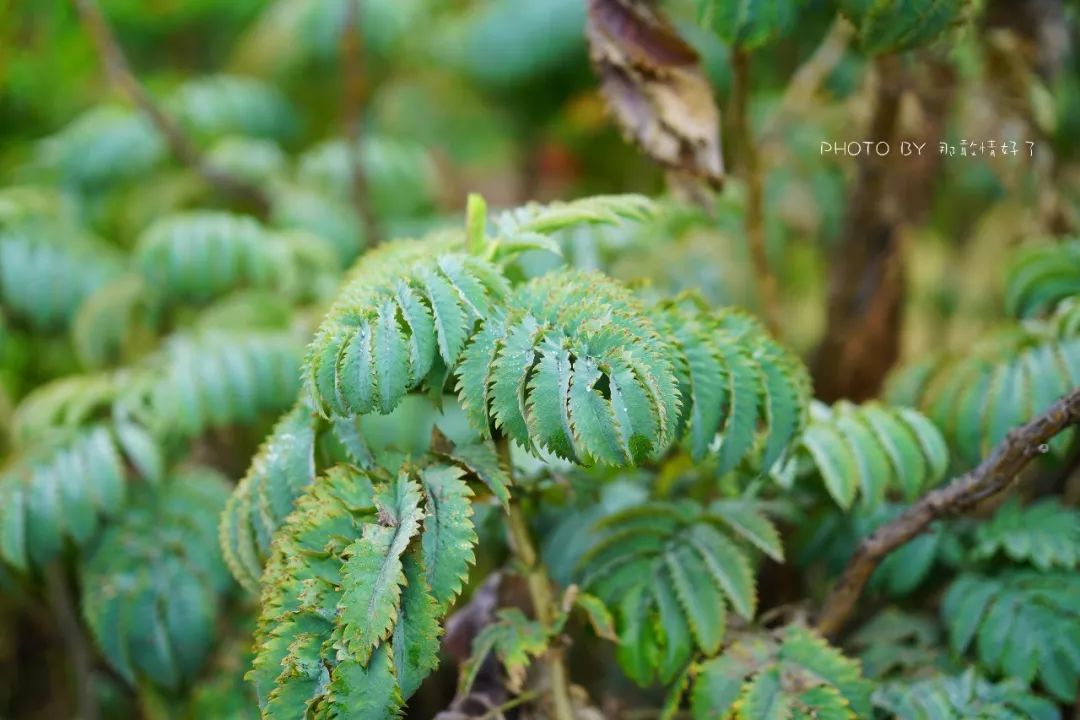世界最美监狱,号称世界最美监狱