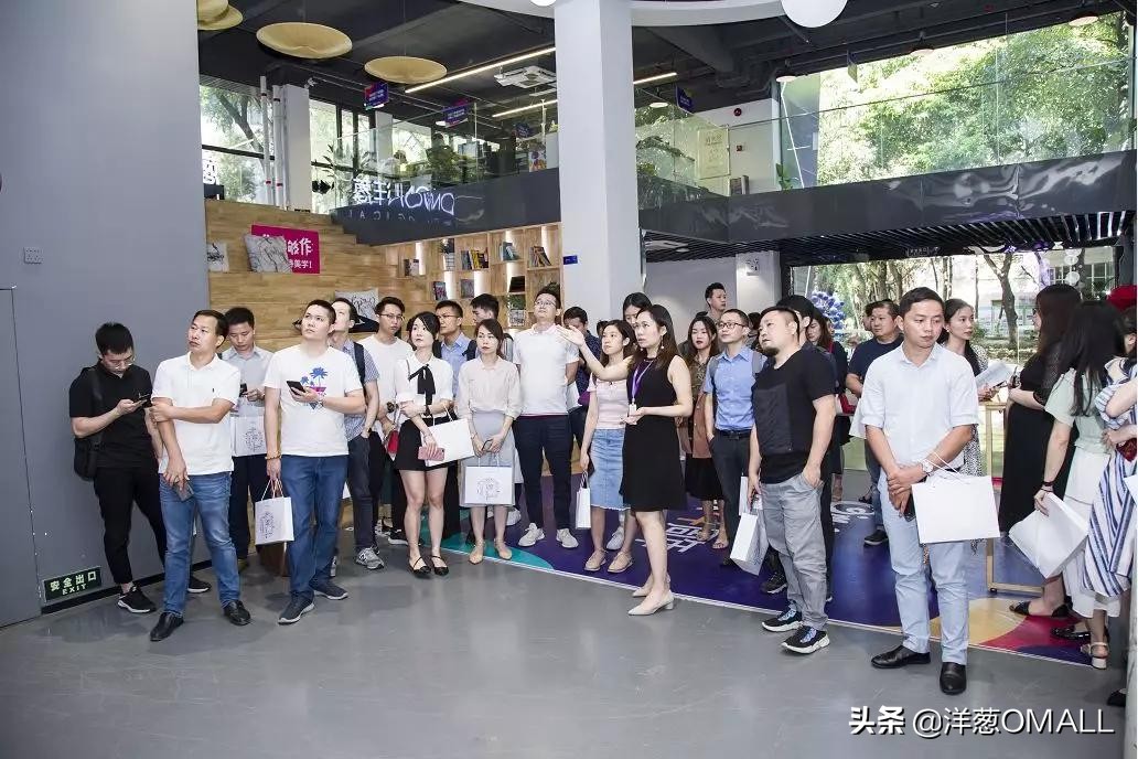 洋葱集团电商行业 (洋葱集团第二届电商直播)