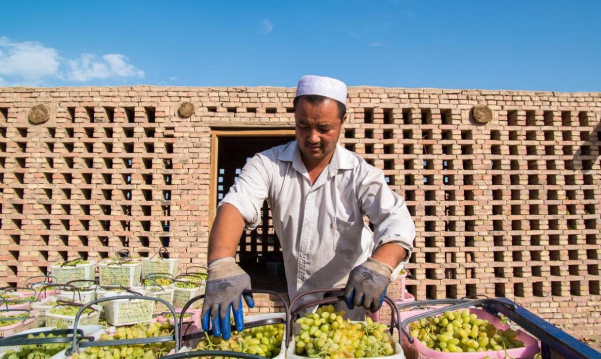 新货新疆无核葡萄干,新疆葡萄干为什么不从本地发货