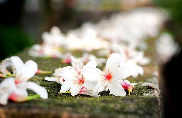 写给正在老去的60后感悟人生,写给60后歌