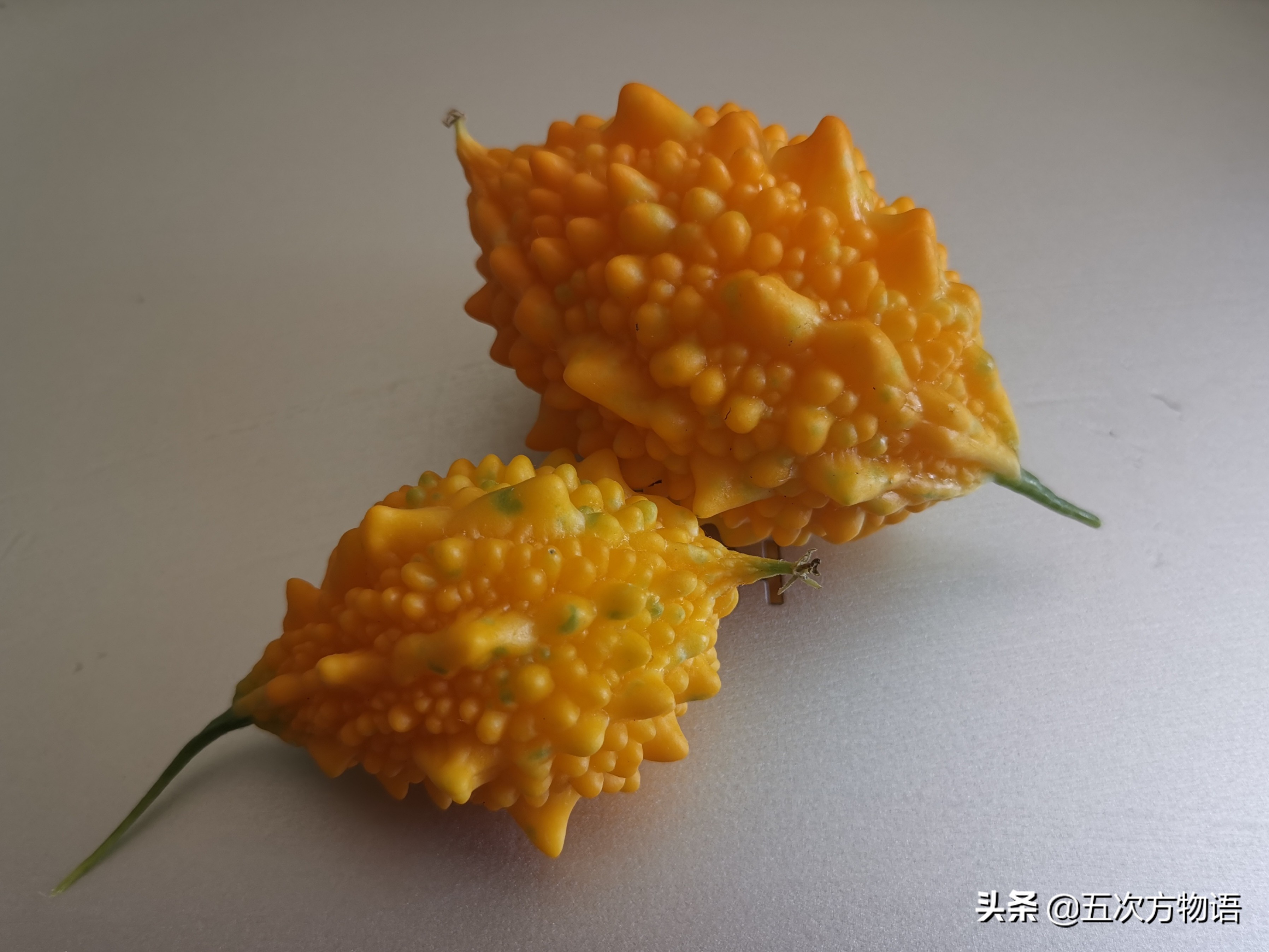 不管你承认与否,不管你承认不承认生活都得继续