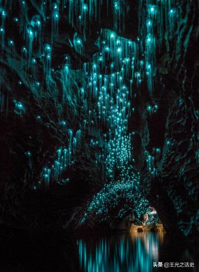 牛羊比人多十倍的新西兰，是如何成为世界前十的发达国家的？