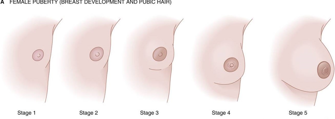 10个原因导致女性内分泌失调,12岁女孩内分泌的症状