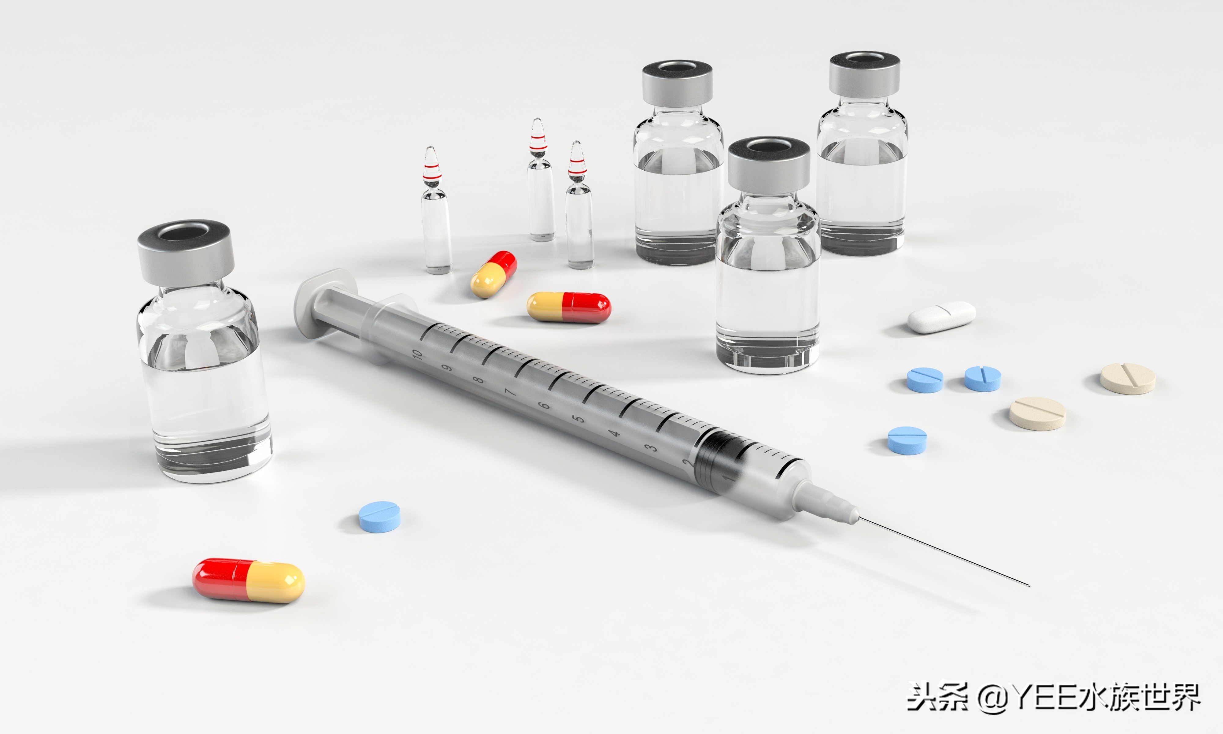 怕什么来什么,鱼在秋冬季得肠炎怎么办?