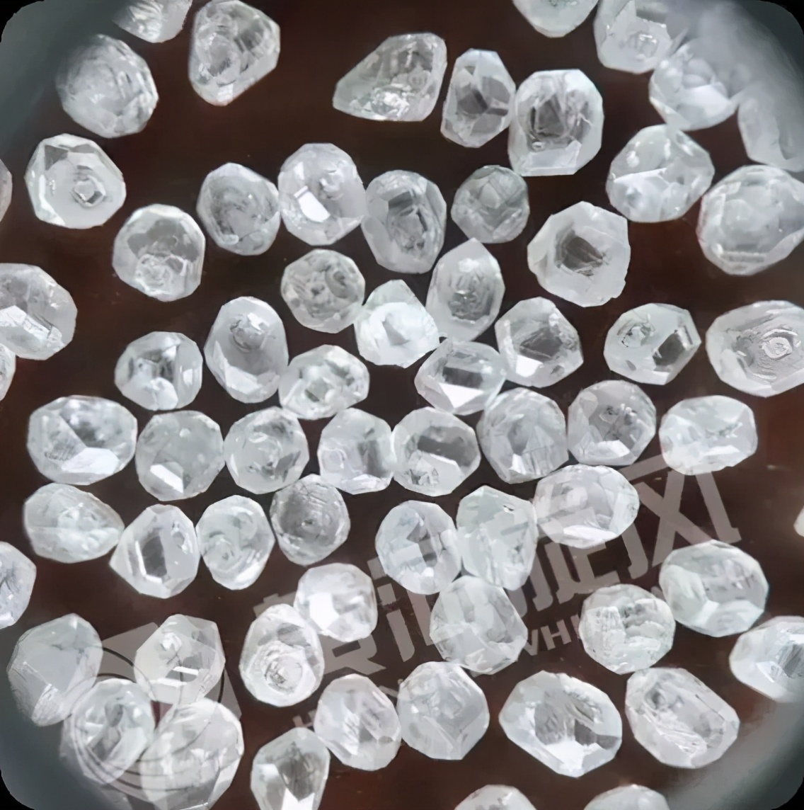 长葛这个农民办的企业：1979年创立，如今行业排名世界第一