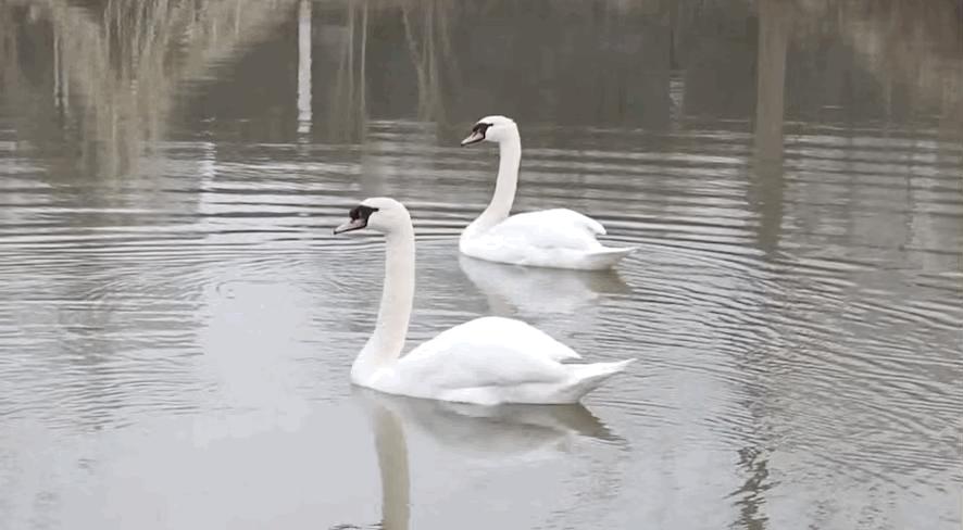 奇葩又搞笑的家具,爆笑笑到肚子疼奇葩玩具