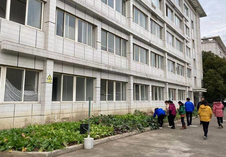 如果你好李焕英,假如你好李焕英母亲节上映