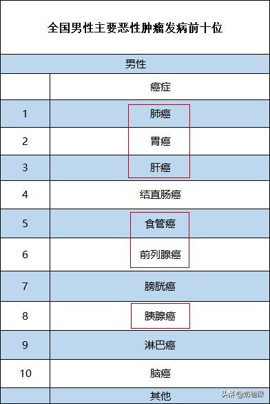 康宁终身寿险2019,康宁终身99版中国人寿详细条款