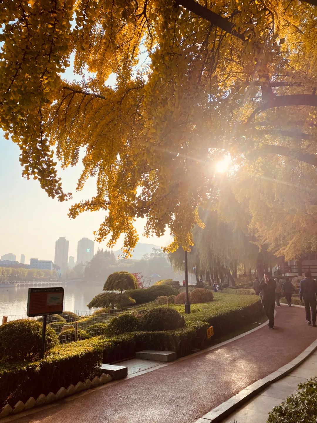 大连儿童公园,绿波荡漾的明泽湖,少了几分喧嚣,多了几分宁静