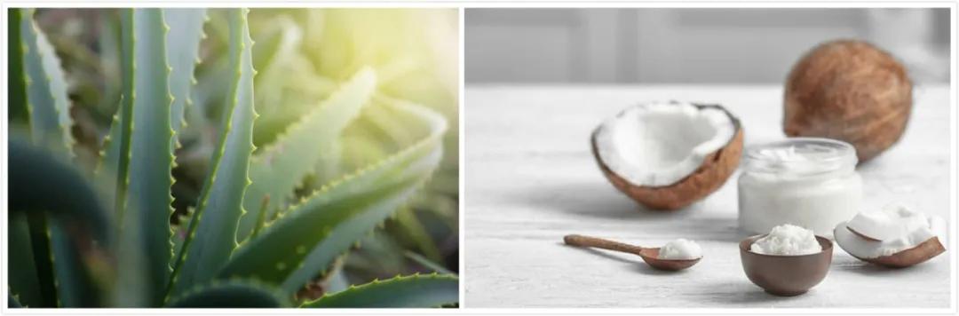 宋轶用的是什么保湿防晒喷雾 (宋轶防晒霜有多厉害)