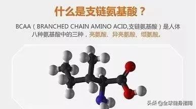 补剂的基本知识和方法,什么牌子的补剂最全面