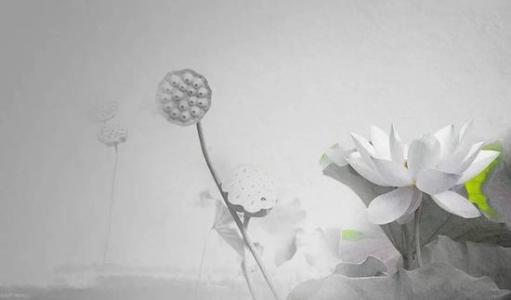 国学经典名句1000句及翻译,人生必背500个千古名句