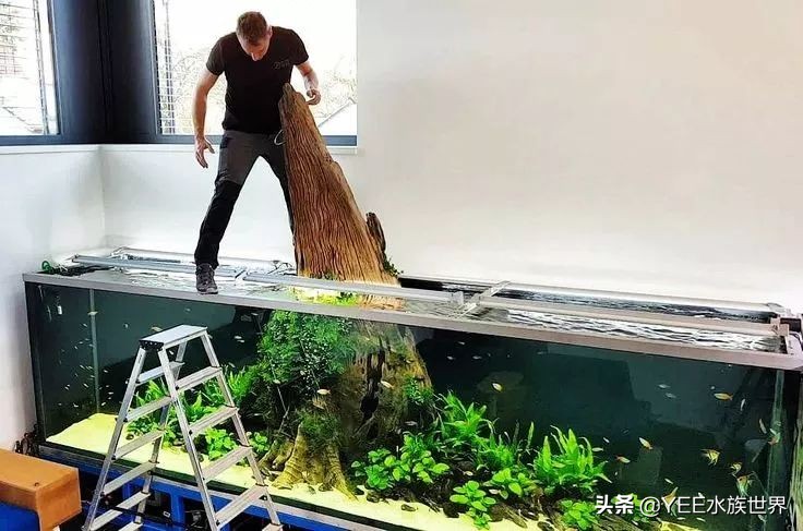 鱼缸放几种滤材最合适,鱼缸滤材有必要放那么多种吗