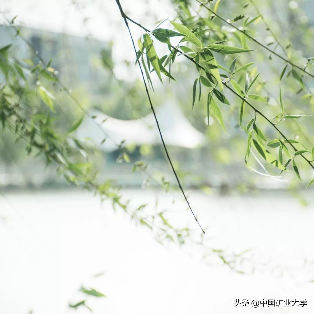 我不要我觉得我要你觉得,我不要我觉得我要你觉得是什么梗