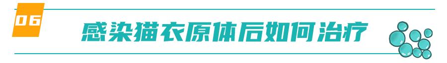 怀孕的母猫得猫瘟没流产,怀孕一个月的猫感染猫瘟会流产吗