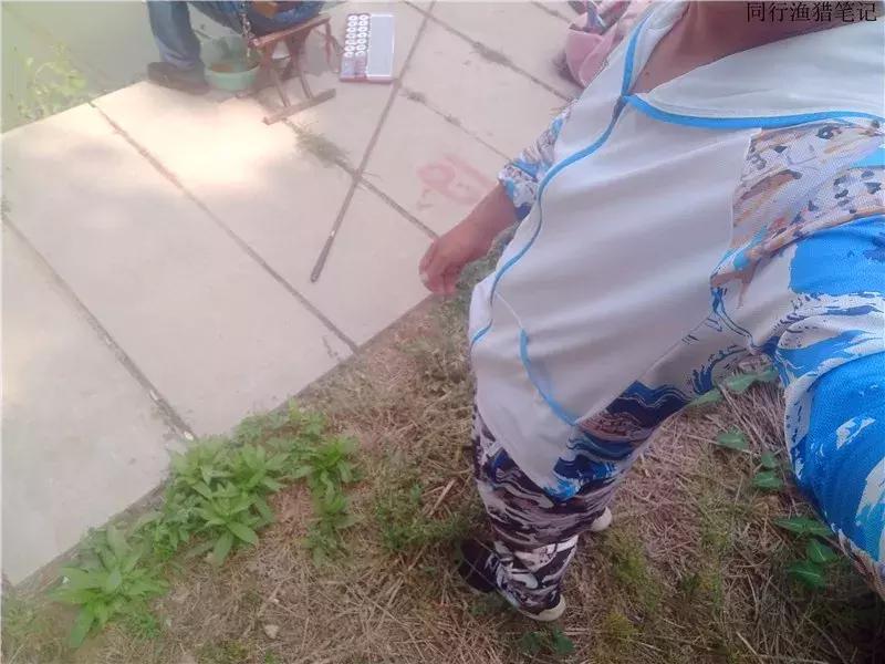 从钓鱼大师到钓鱼圣人,钓鱼大师为啥都是小钩细线钓大鱼