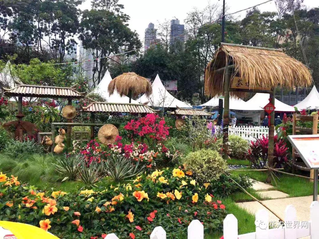 共赴盛会活动,香港国际花卉展