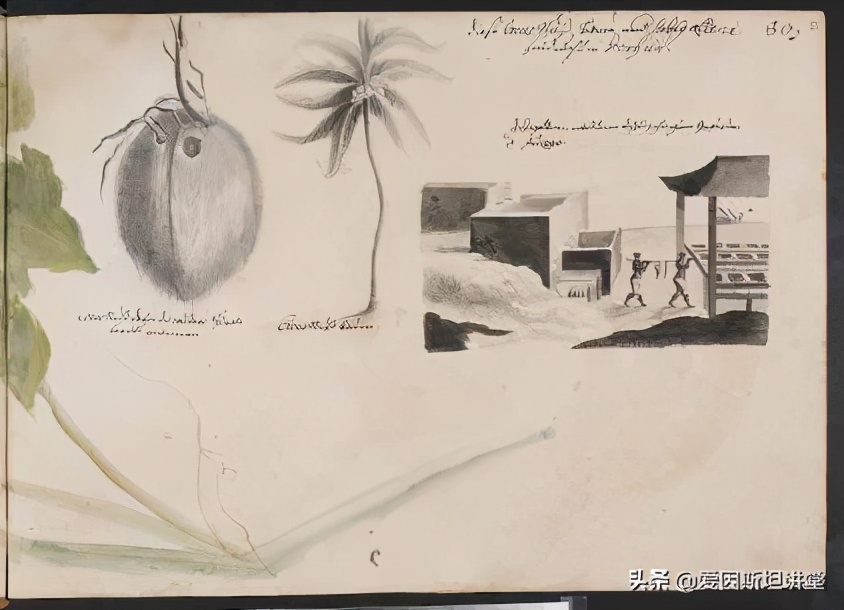 北美土著的日常是什么样子？这个年轻的殖民者一一画了下来