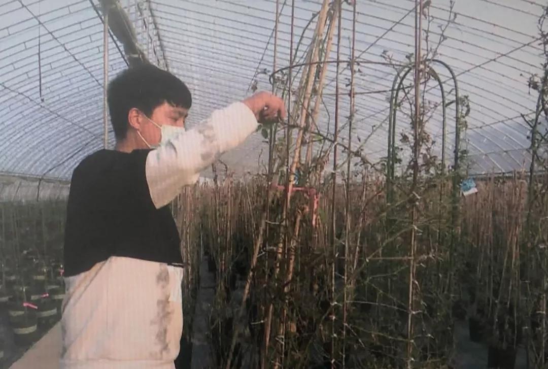 今天咸阳疫情防控最新消息,咸阳肺炎疫情最新消息