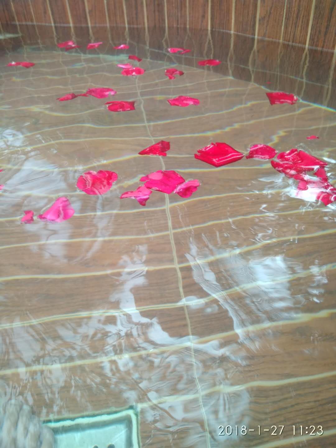 三亚之行视频,三亚之行录屏