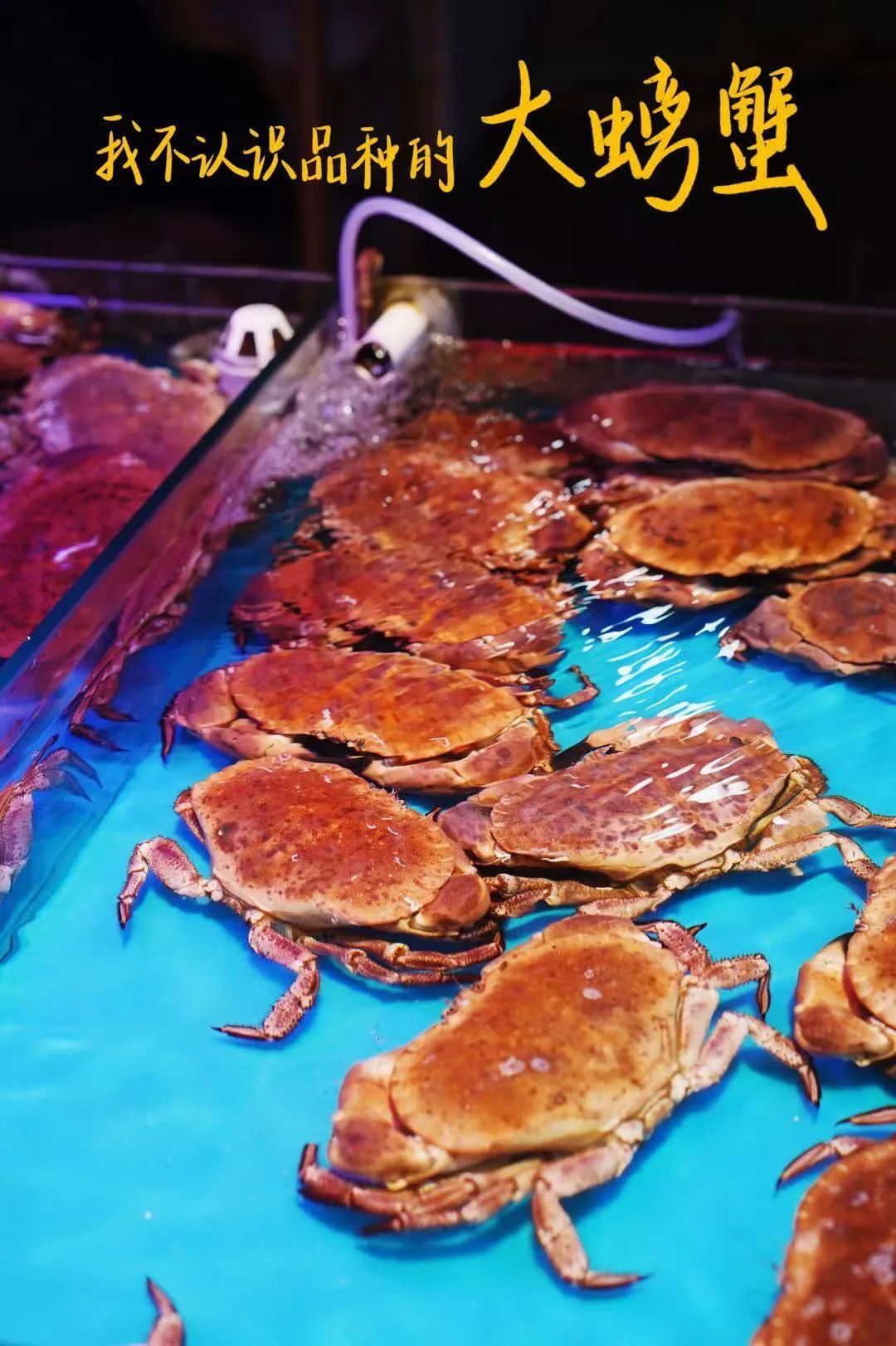 青岛的海给人很惬意,夏天青岛的海边热吗