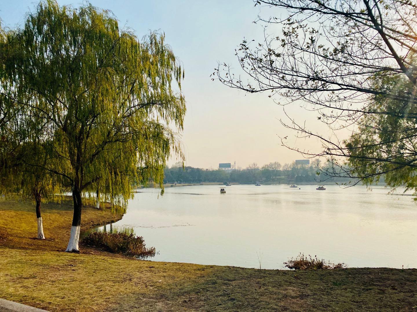 南京可以露营的公园,打卡南京旅游的景点