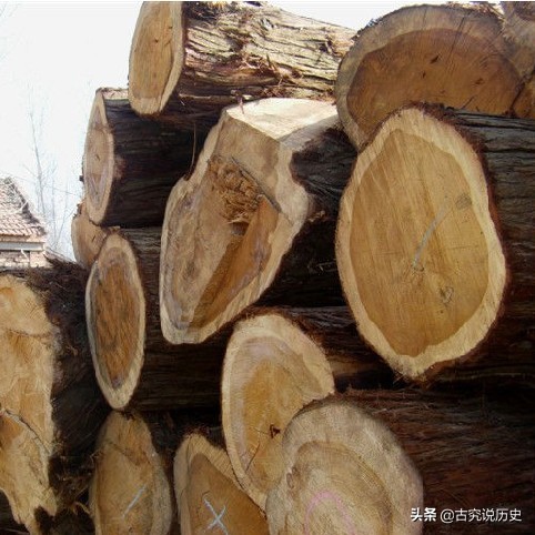 诺亚方舟的遗址是真的吗,圣经上记载诺亚方舟停靠在哪