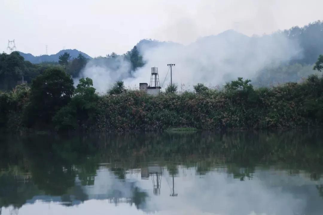 丽水上热搜,浙江丽水现萤火虫星海