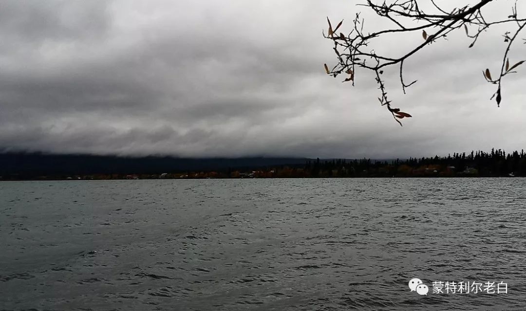 跟着老白行走加拿大，育空Watson Lake、BC省Northern Rockies