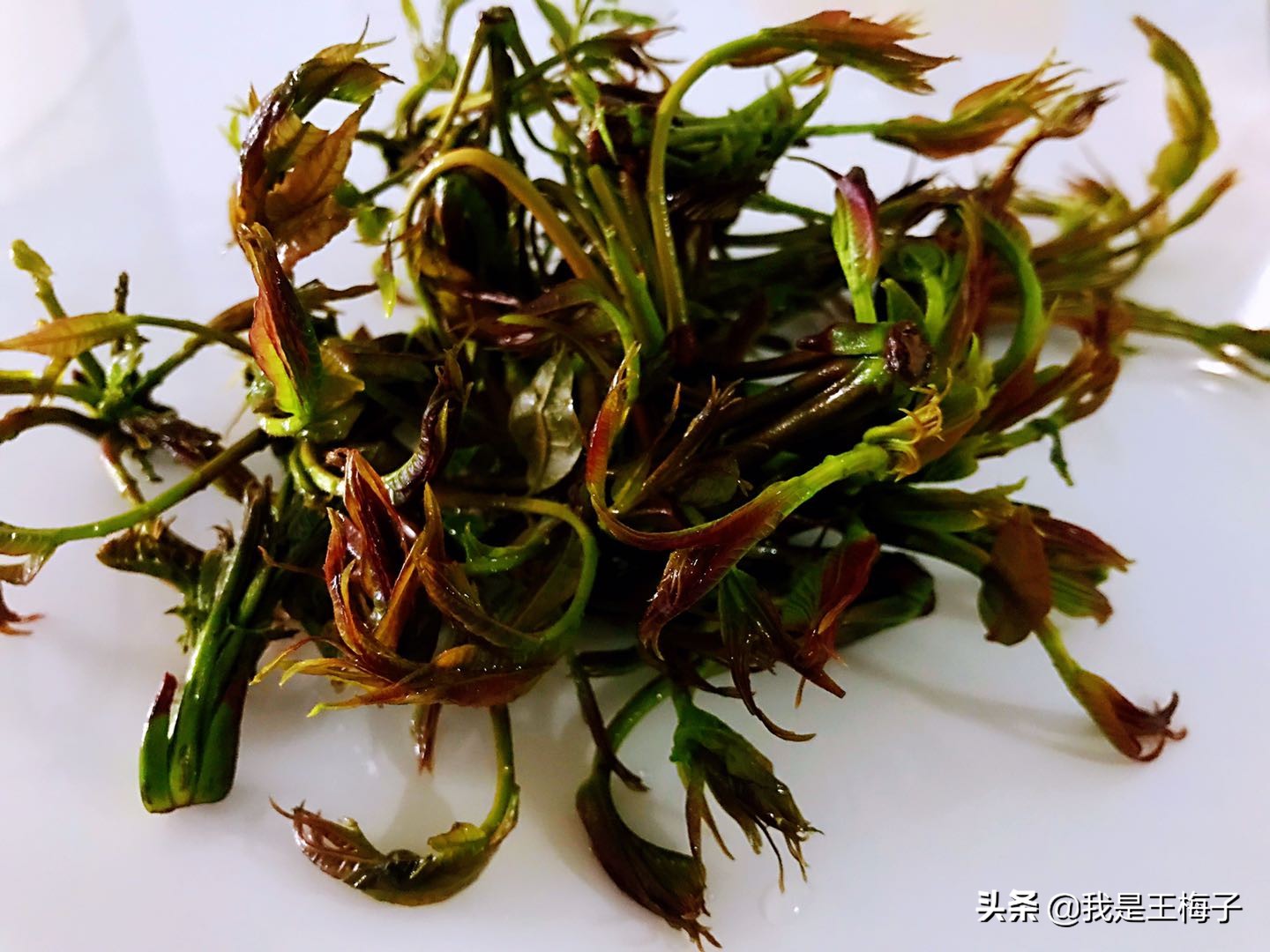 香椿1公斤卖100元,香椿50元一两