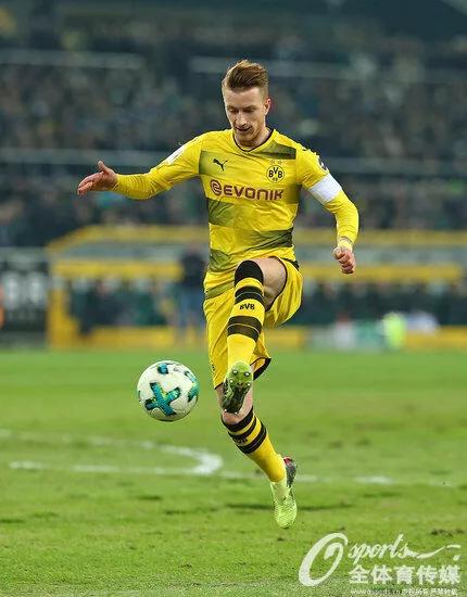 罗伊斯德甲赛季最佳球员,罗伊斯德甲赛季