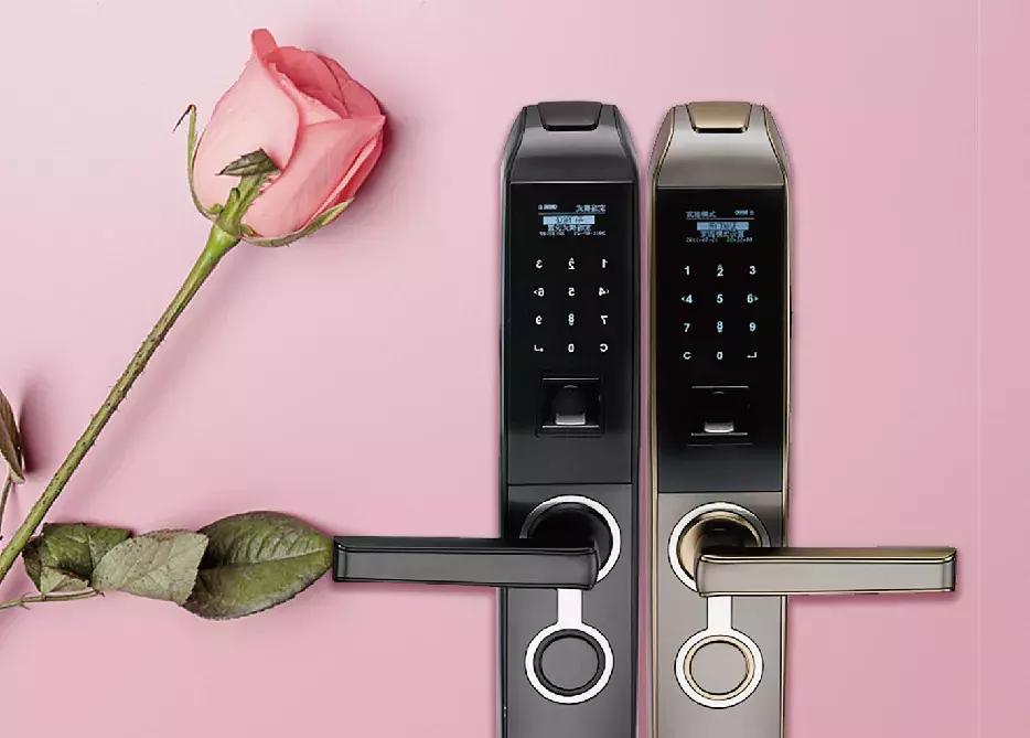 东泰百隆悍高,东泰百隆