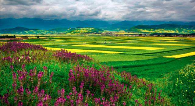 阿根廷与墨西哥属于一个大洲么,墨西哥阿根廷现状